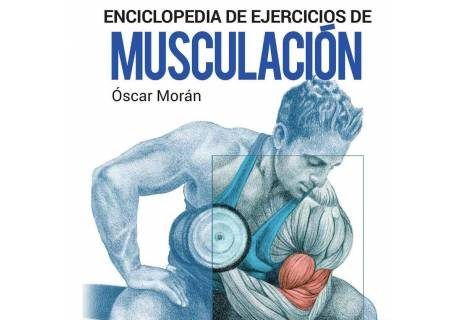 Musculacion ejercicios