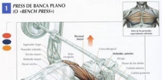 Press de banca