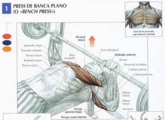 Press de Pecho en Banco Plano. Ejecución, Músculos y Vídeo Press de banca