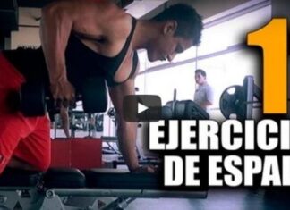 Rutina de EJERCICIOS para la ESPALDA Ejercicios para Espalda