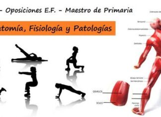 Tema 3: Anatomía y fisiología humanas implicadas en la actividad física. Patologías relacionadas con el aparato motor. Evaluación y tratamiento en el proceso educativo Anatomía y fisiología humanas implicadas en la actividad física. Patologías relacionadas con el aparato motor. Evaluación y tratamiento en el proceso educativo.