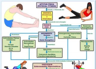 Componentes de la Aptitud Física ¡Mejora tu Calidad de Vida! ¿Por qué Mejorar nuestra Aptitud Física?