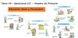 Evolución de las capacidades motrices en relación con el desarrollo evolutivo general. Educación sensomotriz y psicomotriz en las primeras etapas de la infancia
