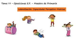 Tema 11 Oposiciones Educacion Fisica Maestro Primaria