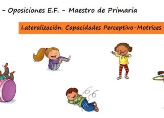 Tema 11: El esquema corporal, el proceso de lateralización. Desarrollo de las capacidades perceptivo – motrices Tema 11 Oposiciones Educacion Fisica Maestro Primaria