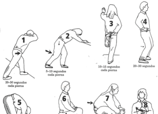 ESTIRAMIENTOS – Imágenes y Vídeos con Ejercicios