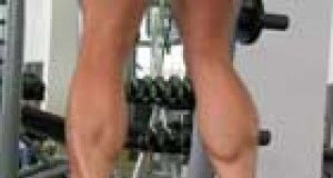aumentar el tamaño de los gemelos