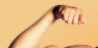 biceps