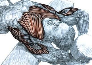 Musculación y ejercicios