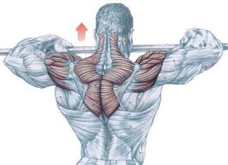 Musculación y ejercicio físico