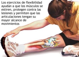 ¿Por qué debemos Estirar antes del Ejercicio?