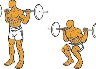 Series para grupos musculares