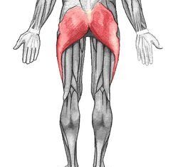 Musculación glúteos