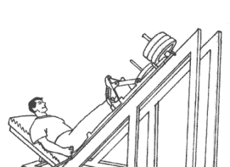 Ejercicios de musculación