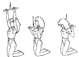 Ejercicios de gimnasios