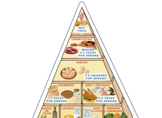 Nutrición básica para adolescentes