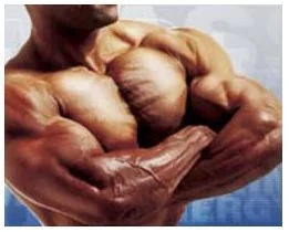 💪 Cómo Ganar Masa Muscular Sin Equipamiento: Guía con Peso Corporal 🏋️♂️