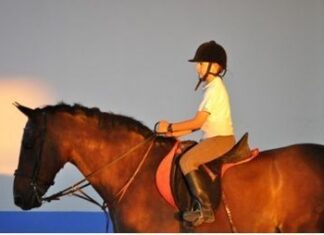 ¿Dónde se puede practicar Hípica en Sevilla?