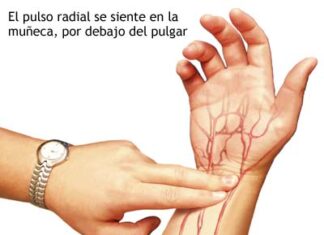 ¿Cómo calcular la frecuencia cardiaca máxima?