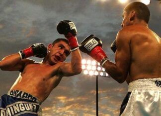 Las artes marciales y la educación física