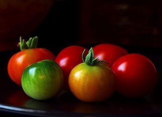 La alimentación en el deporte