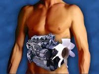 Como aumentar el metabolismo