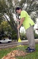 Actividad física en su vida diaria : 1ª parte