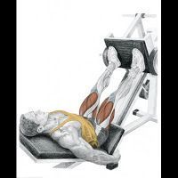 Ejercicios con prensa