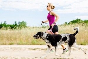 Salir a Correr con tu Perro