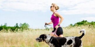 Salir a Correr con tu Perro