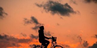 Beneficios del Ejercicio Físico para Prevenir el Estrés