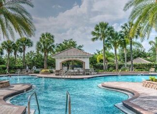 Cómo Elegir Cursos de Natación Cómo Elegir Cursos de Natación