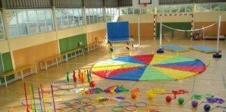 Recursos materiales didácticos específicos del área de Educación Física: clasificación y características que han de tener en función de la actividad física para las que se han de utilizar. Utilización de los recursos de la comunidad.