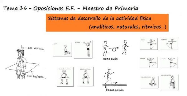 Principios de sistemática del ejercicio y elementos estructurales del movimiento. Sistemas de desarrollo de la actividad física (analíticos, naturales, rítmicos…)