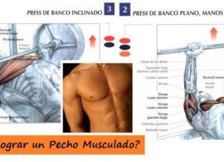 ¿Cómo conseguir un PECHO Moldeado, Firme y con Volumen? Ejercicios de Pecho