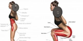Ejercicio de Sentadillas con Barra