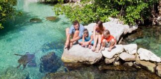 Pasión por la naturaleza mexicana