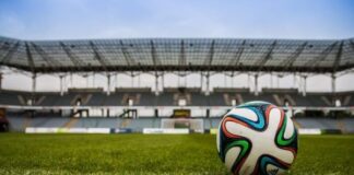 Importancia del Césped en Fútbol