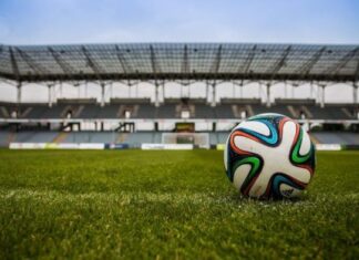 La importancia del césped en el fútbol Importancia del Césped en Fútbol