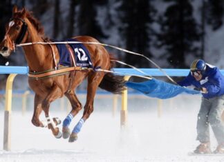 2 deportes muy especiales, con caballos y nieve Deporte con Caballo y Nieve