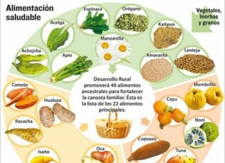 Consejos útiles para una DIETA DEPORTIVA