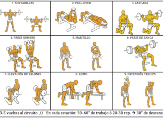 Los principales beneficios de EJERCICIOS CON PESAS