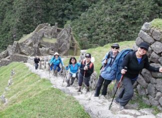Beneficios para la vejez de la ACTIVIDAD FÍSICA