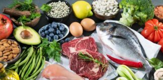 Alimentacion 1