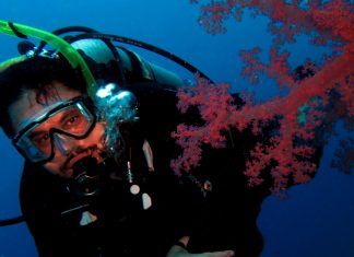 ¿Cómo convertirse en buceador certificado? Contado por un profesional Buceador Con Certificado