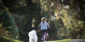 Bicicleta Niños