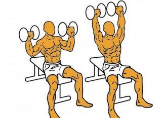 Espalda: los mejores ejercicios para una perfecta tonificación Espalda 2