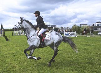 Los beneficios de la hípica beneficios de la hipica